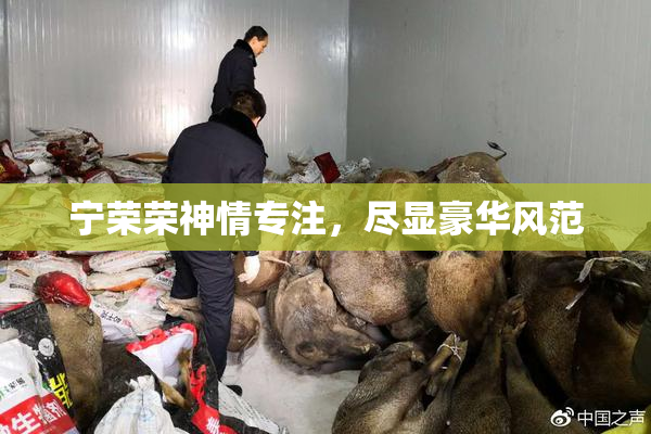 宁荣荣神情专注，尽显豪华风范