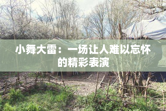 小舞大雷：一场让人难以忘怀的精彩表演