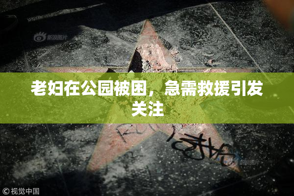 老妇在公园被困，急需救援引发关注