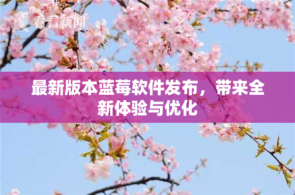最新版本蓝莓软件发布，带来全新体验与优化