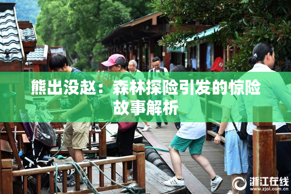 熊出没赵：森林探险引发的惊险故事解析