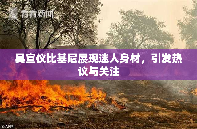 吴宣仪比基尼展现迷人身材，引发热议与关注