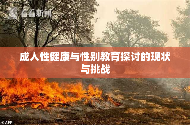 成人性健康与性别教育探讨的现状与挑战