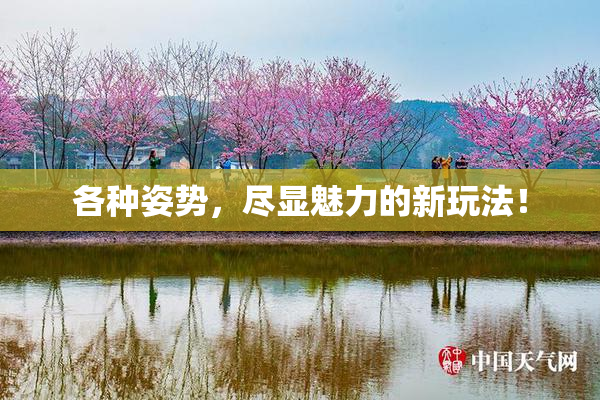 各种姿势，尽显魅力的新玩法！