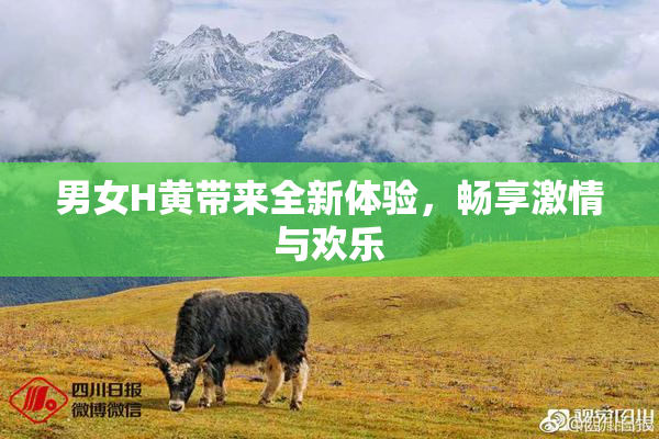 男女H黄带来全新体验，畅享激情与欢乐