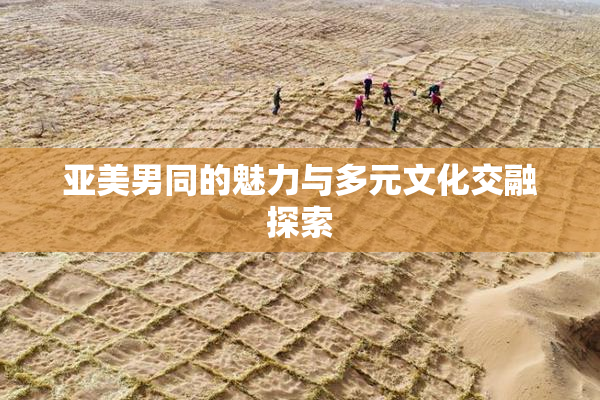 亚美男同的魅力与多元文化交融探索
