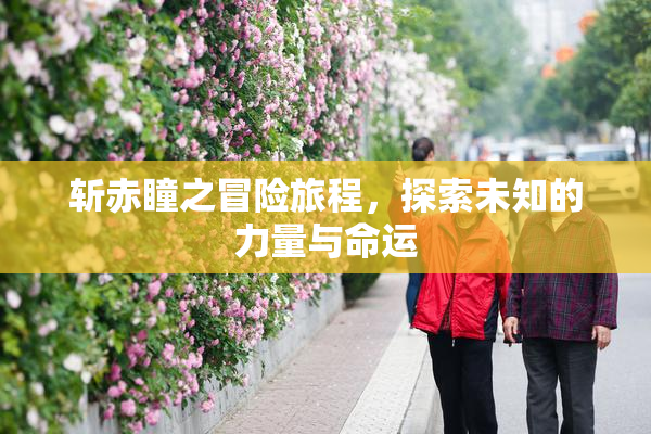 斩赤瞳之冒险旅程，探索未知的力量与命运