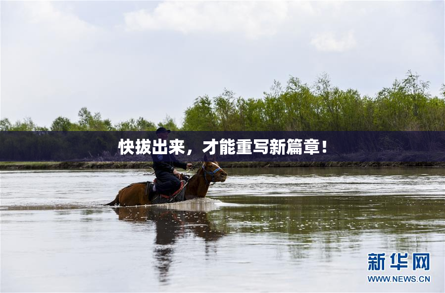 快拔出来，才能重写新篇章！