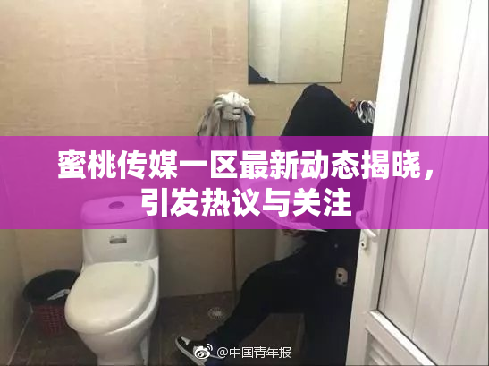 蜜桃传媒一区最新动态揭晓，引发热议与关注