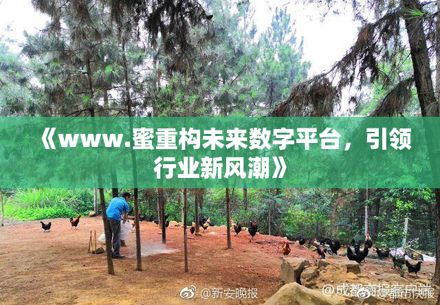 《www.蜜重构未来数字平台，引领行业新风潮》