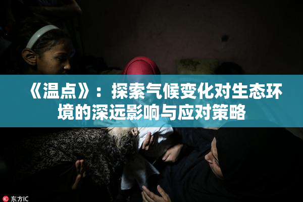 《温点》：探索气候变化对生态环境的深远影响与应对策略