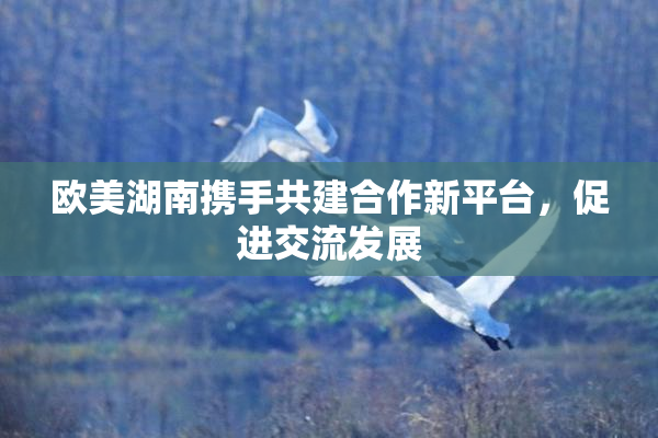 欧美湖南携手共建合作新平台，促进交流发展