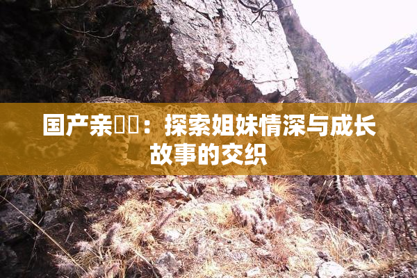 国产亲妺妺：探索姐妹情深与成长故事的交织