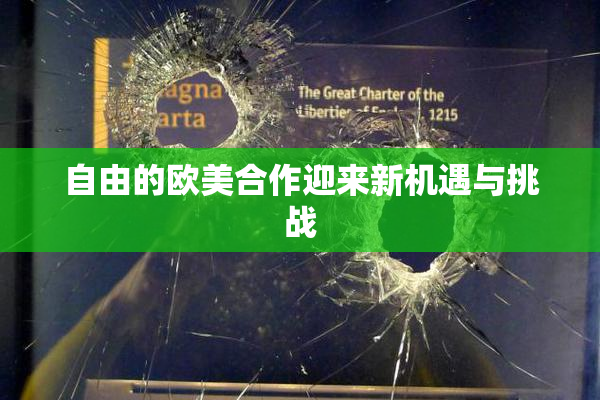 自由的欧美合作迎来新机遇与挑战