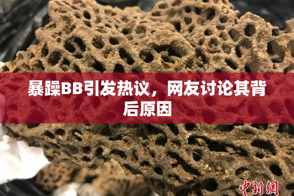 暴躁BB引发热议，网友讨论其背后原因