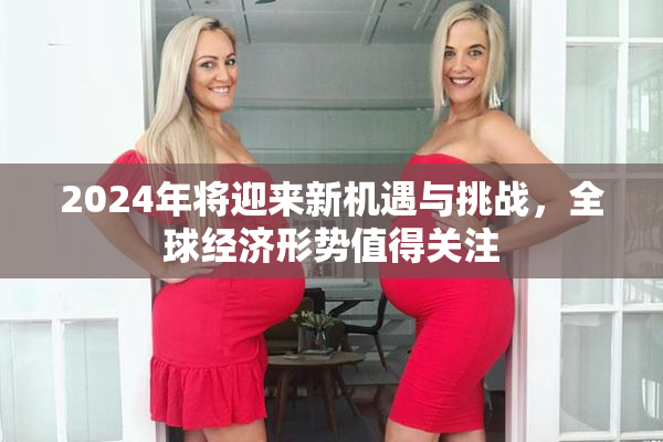 2024年将迎来新机遇与挑战，全球经济形势值得关注