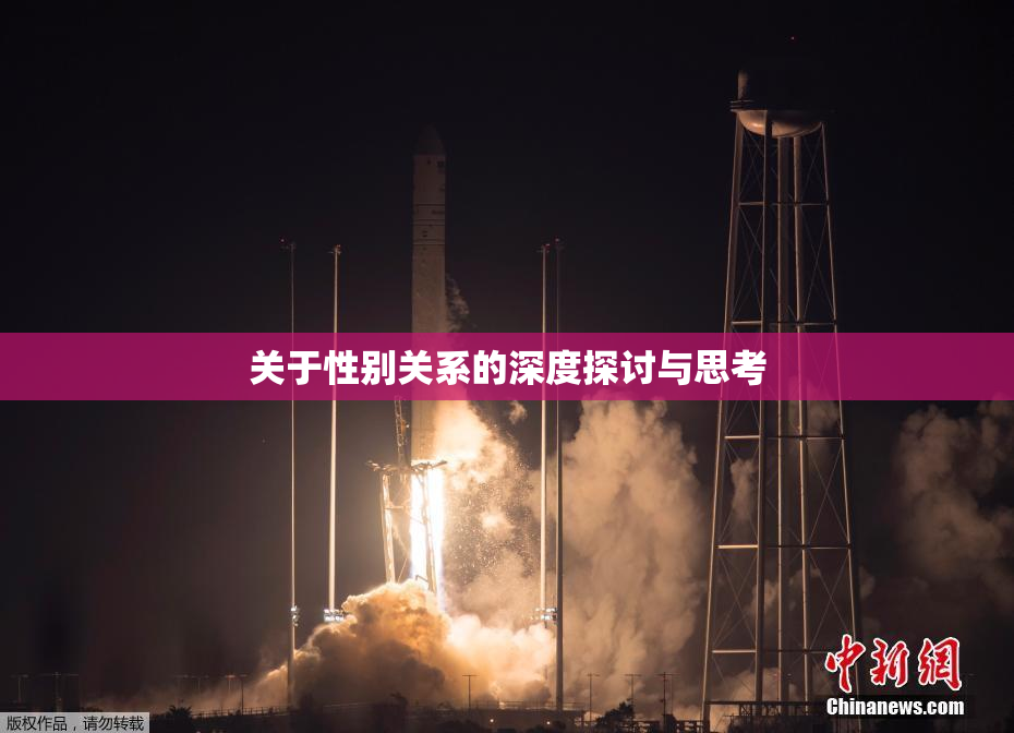 关于性别关系的深度探讨与思考