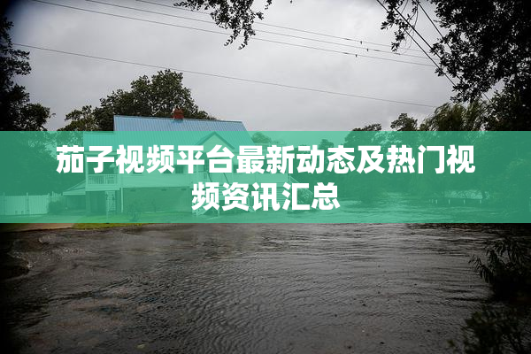 茄子视频平台最新动态及热门视频资讯汇总