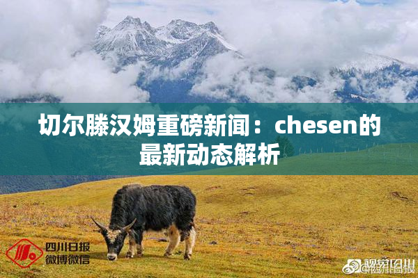 切尔滕汉姆重磅新闻：chesen的最新动态解析