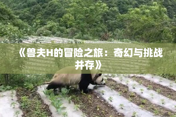 《兽夫H的冒险之旅：奇幻与挑战并存》