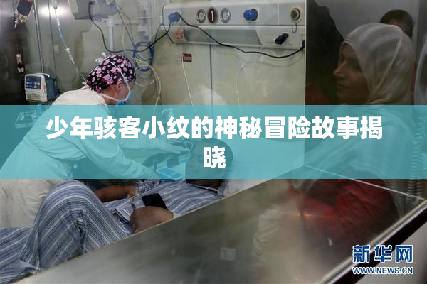 少年骇客小纹的神秘冒险故事揭晓