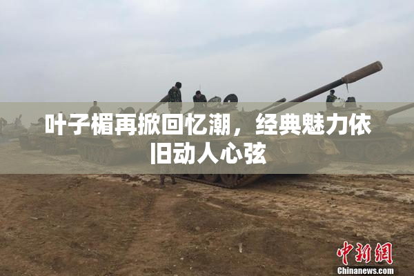 叶子楣再掀回忆潮，经典魅力依旧动人心弦