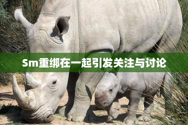 Sm重绑在一起引发关注与讨论