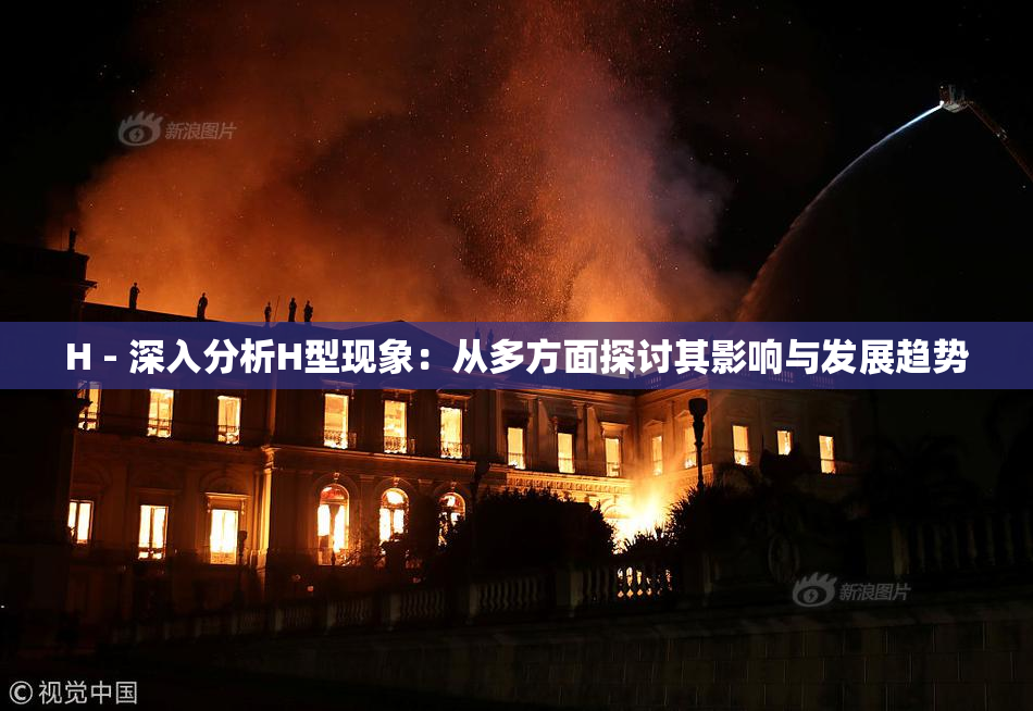H - 深入分析H型现象：从多方面探讨其影响与发展趋势