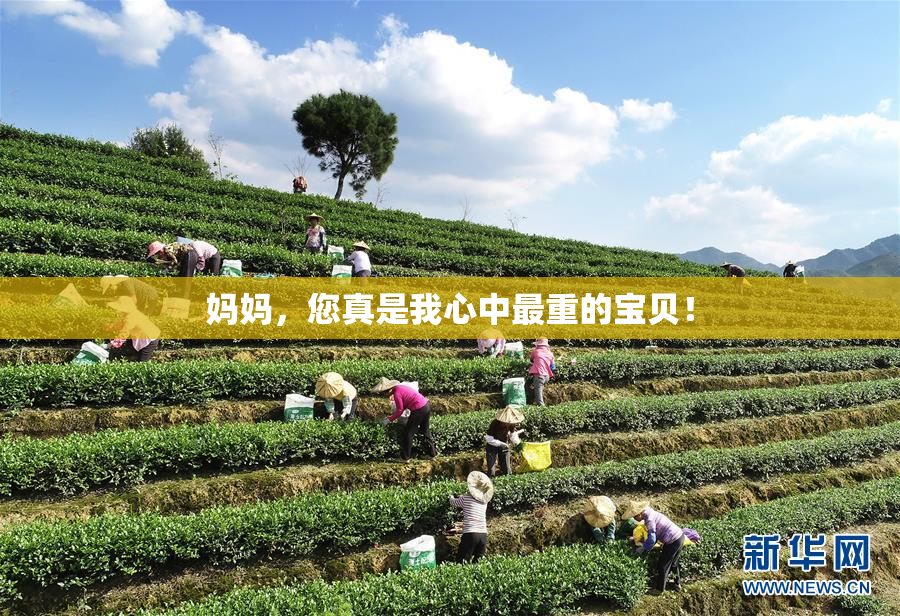 妈妈，您真是我心中最重的宝贝！