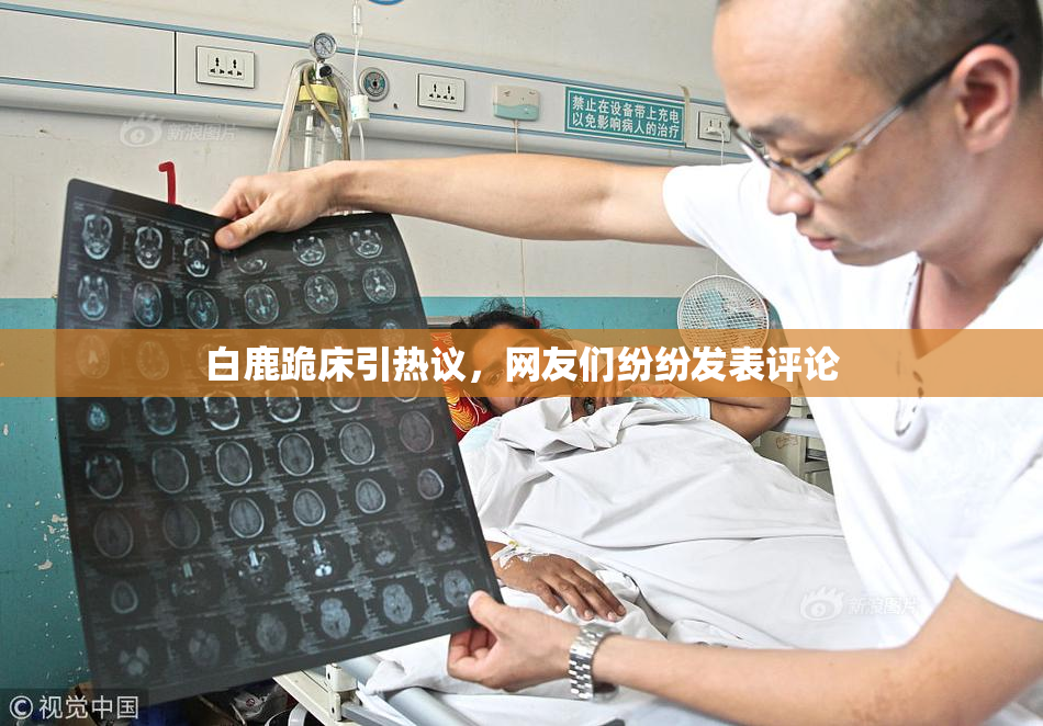 白鹿跪床引热议，网友们纷纷发表评论