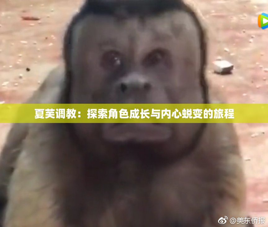 夏芙调教：探索角色成长与内心蜕变的旅程