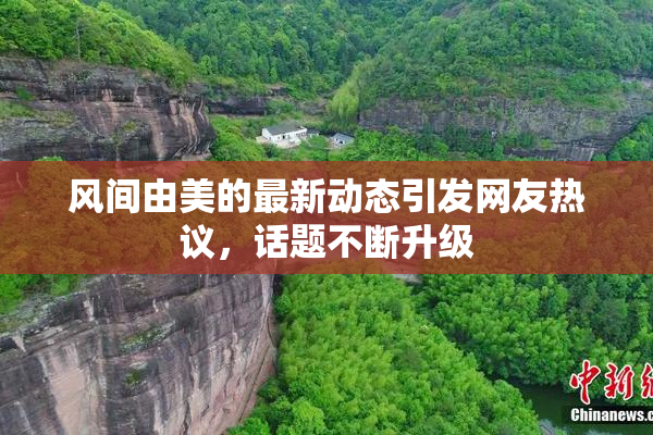 风间由美的最新动态引发网友热议，话题不断升级