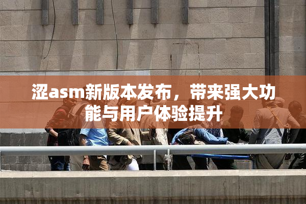 涩asm新版本发布，带来强大功能与用户体验提升