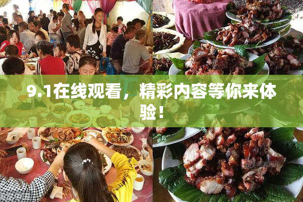 9.1在线观看，精彩内容等你来体验！