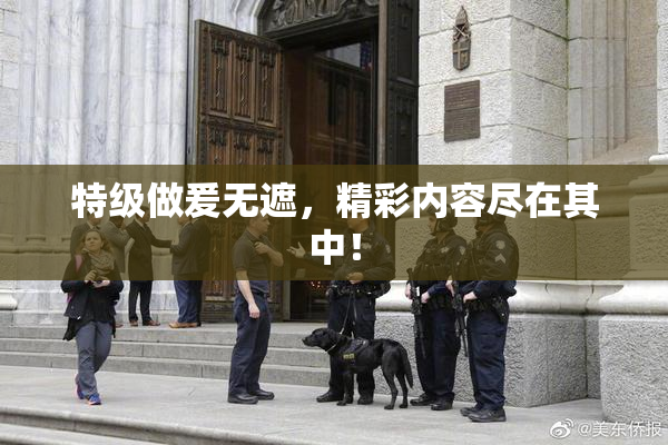 特级做爰无遮，精彩内容尽在其中！