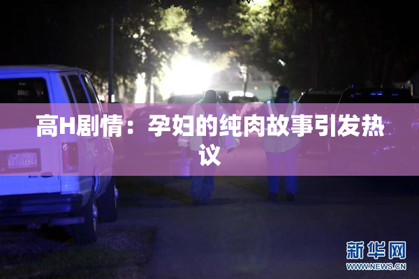 高H剧情：孕妇的纯肉故事引发热议