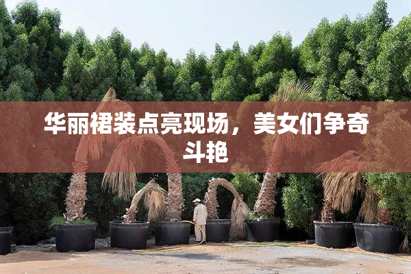 华丽裙装点亮现场，美女们争奇斗艳
