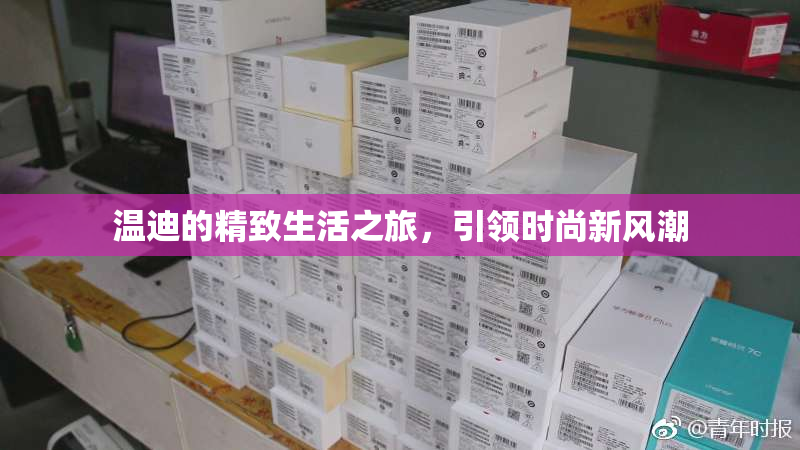 温迪的精致生活之旅，引领时尚新风潮
