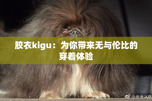 胶衣kigu：为你带来无与伦比的穿着体验