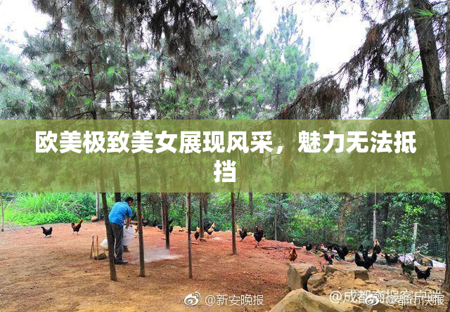 欧美极致美女展现风采，魅力无法抵挡