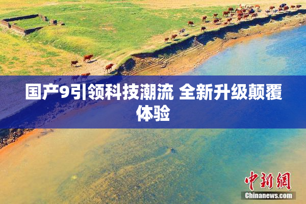 国产9引领科技潮流 全新升级颠覆体验