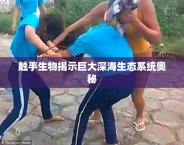触手生物揭示巨大深海生态系统奥秘