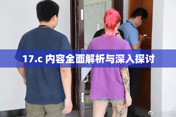 17.c 内容全面解析与深入探讨