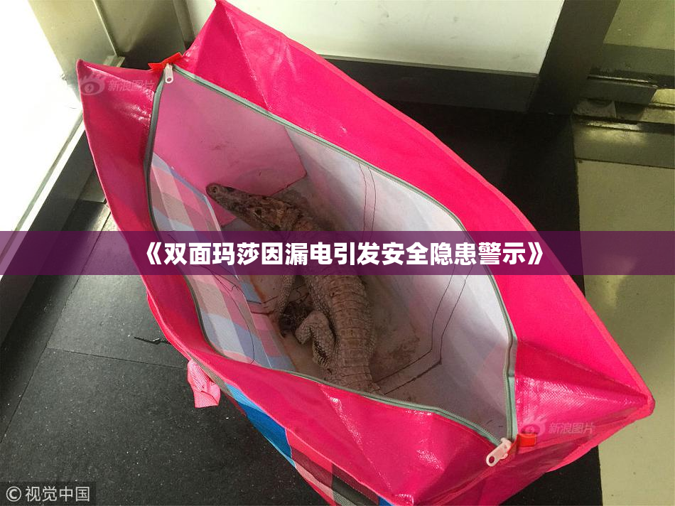 《双面玛莎因漏电引发安全隐患警示》