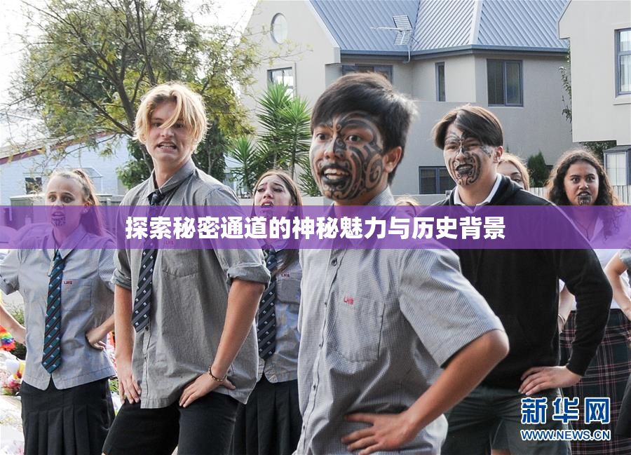 探索秘密通道的神秘魅力与历史背景
