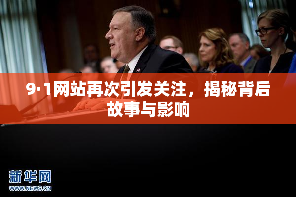 9·1网站再次引发关注，揭秘背后故事与影响