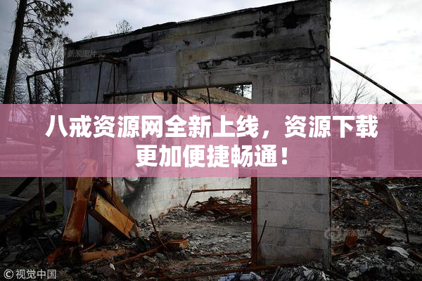 八戒资源网全新上线，资源下载更加便捷畅通！