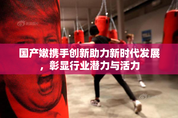 国产嫩携手创新助力新时代发展，彰显行业潜力与活力