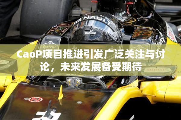CaoP项目推进引发广泛关注与讨论，未来发展备受期待