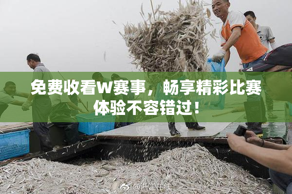 免费收看W赛事，畅享精彩比赛体验不容错过！